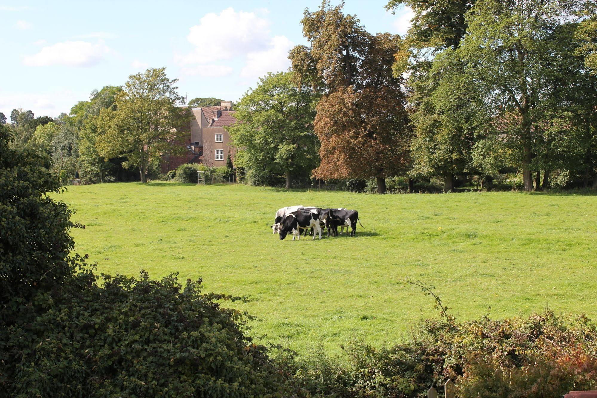 The Coach House Bed & Breakfast Winterbourne Екстериор снимка